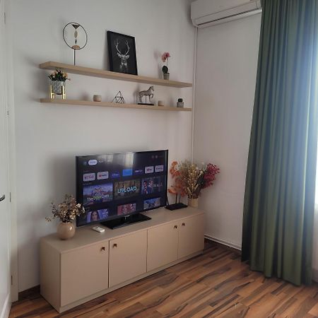 B8 - Spacious, Charming Apartment In Central 锡比乌 外观 照片