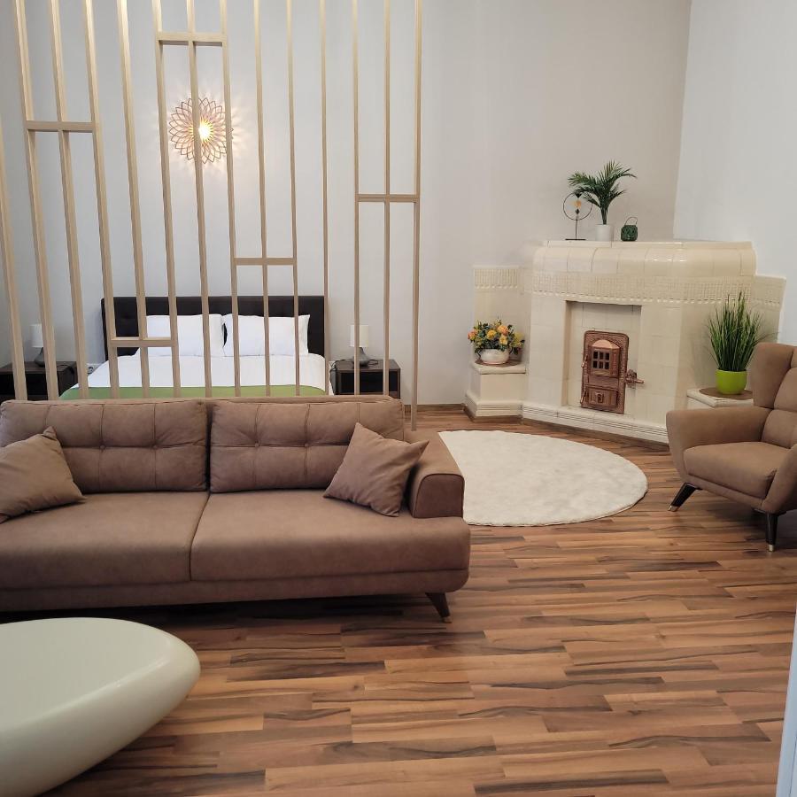 B8 - Spacious, Charming Apartment In Central 锡比乌 外观 照片