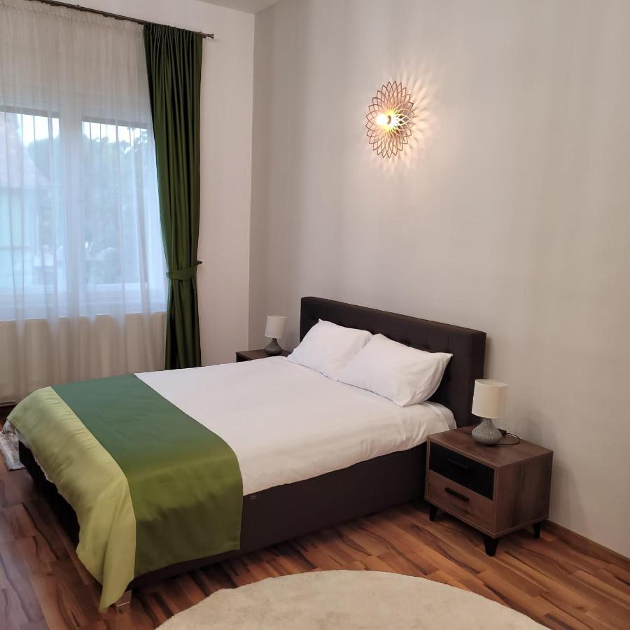 B8 - Spacious, Charming Apartment In Central 锡比乌 外观 照片